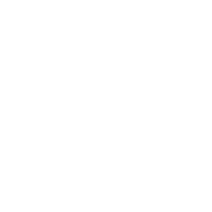 Bebe Voyage